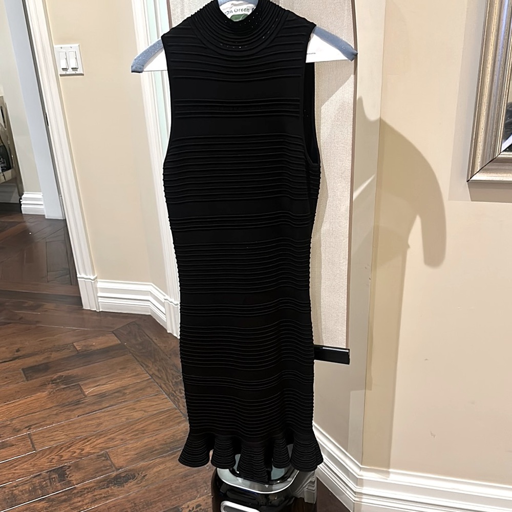 Arc Sleeveless Bodycon dress with Ruffle